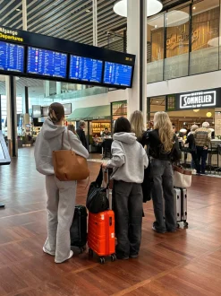 Anelise hoodie - Grå melange