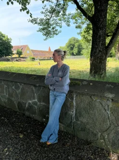 Desideria cardigan - Grå